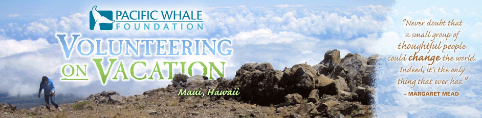 Volunteering on Vacation - Maui, Hawaii sponsored by Pacific Whale Foundation